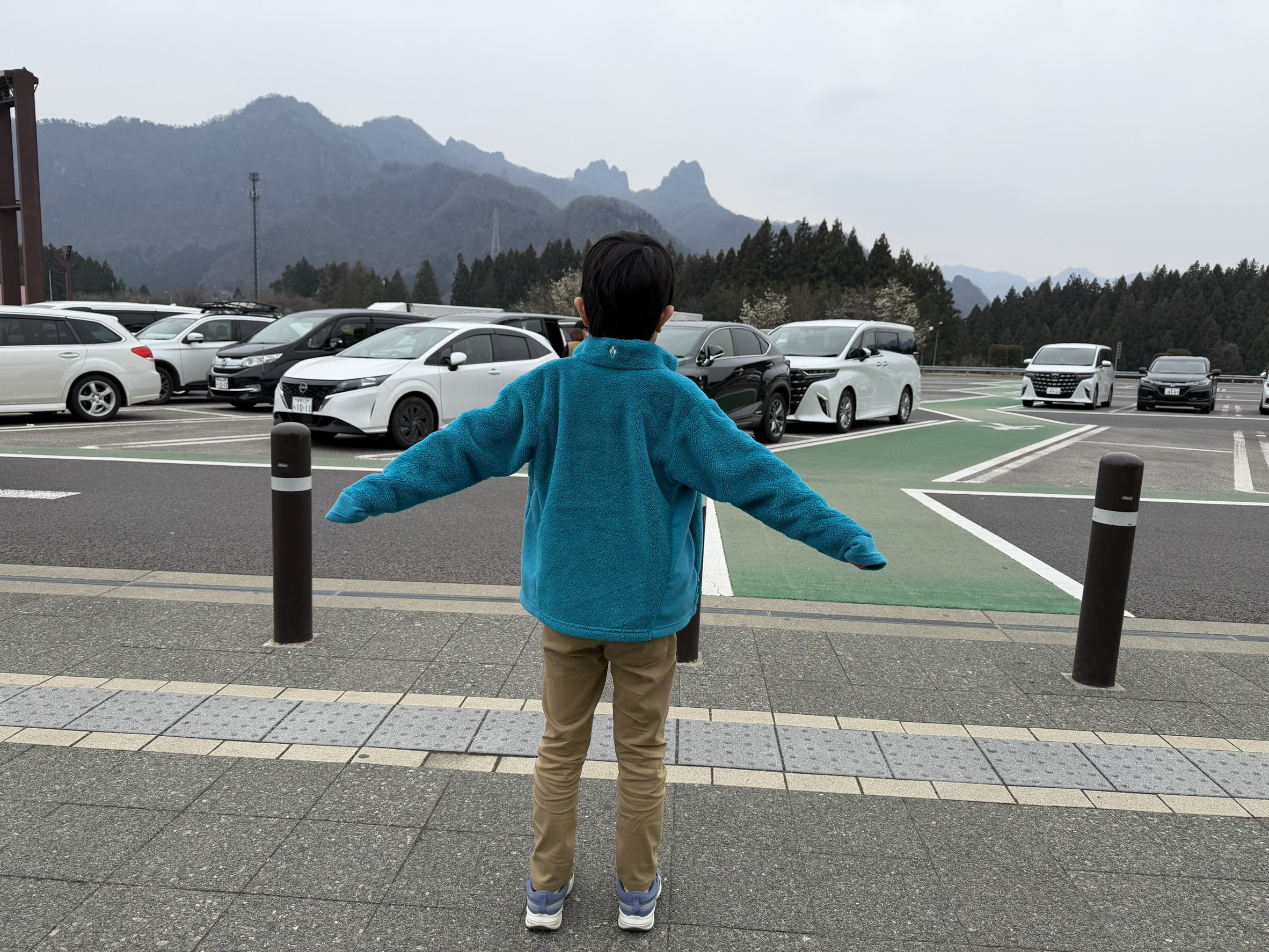 花筏（ハナイカダ）