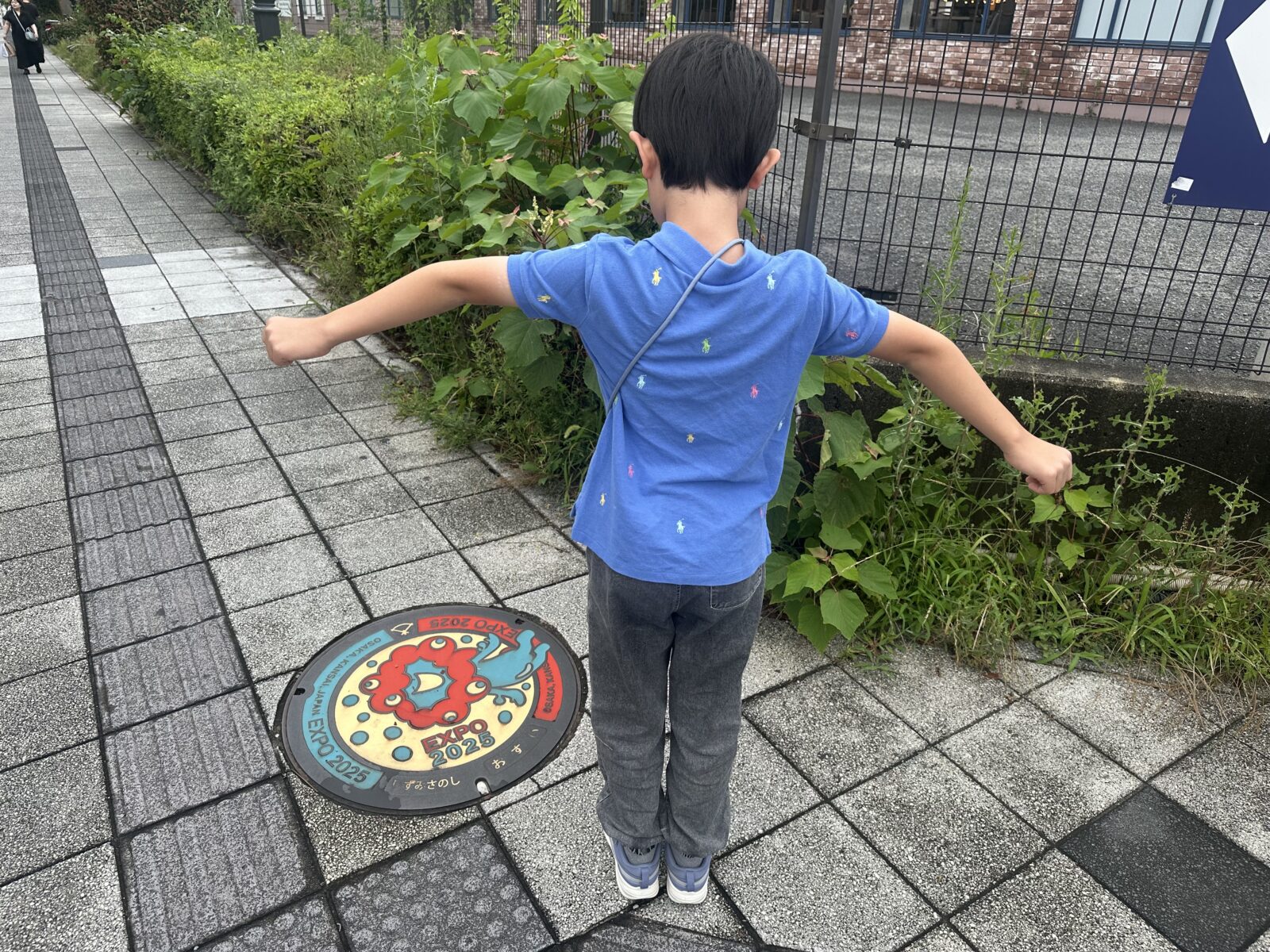 夏越から梅雨明け