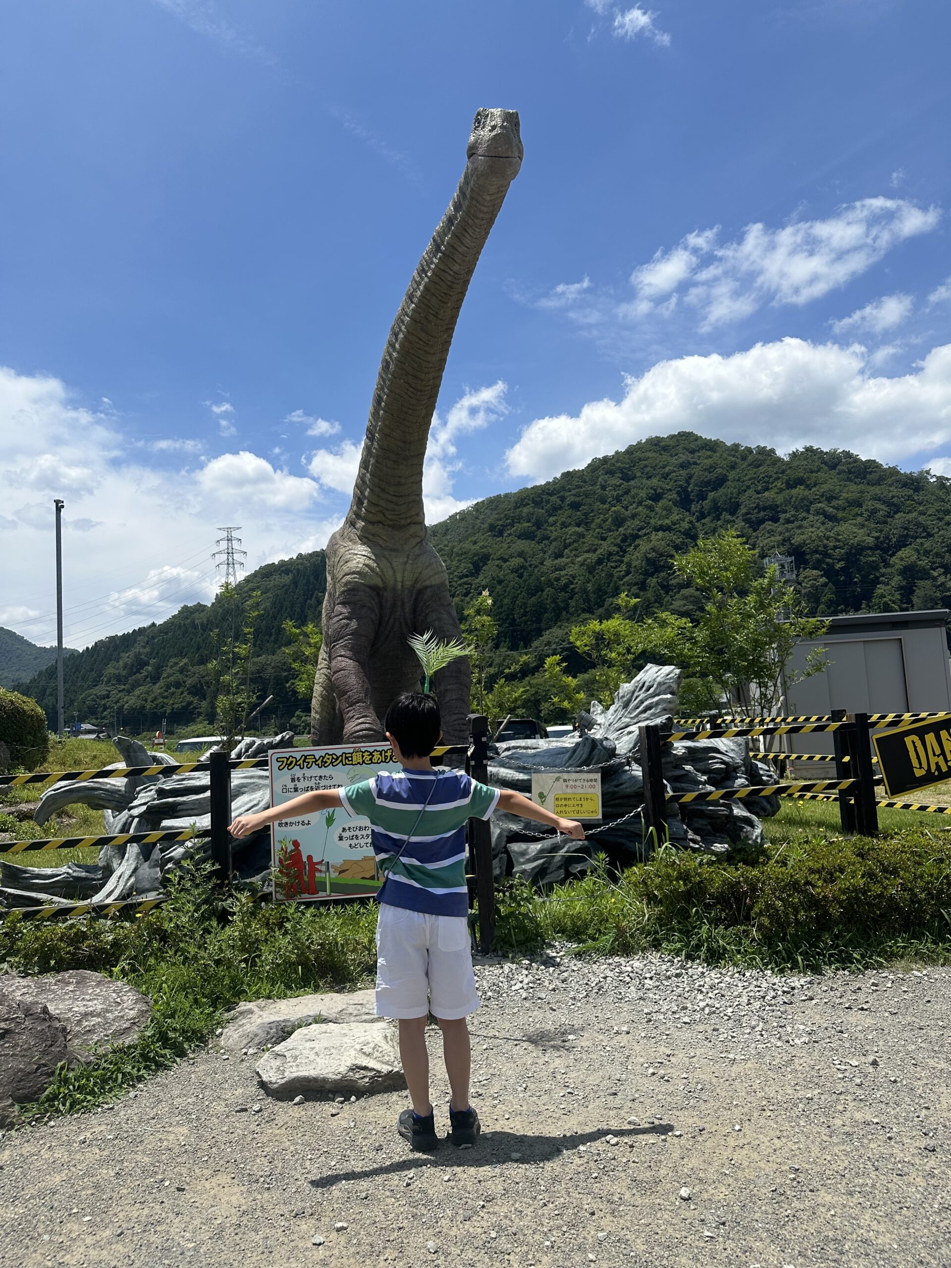 経験・思考